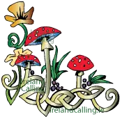 Irish mushrooms. Image copyright Ireland Calling