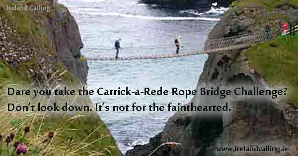 Carrick_a_rede_rope_bridge_photo Tourism Ireland ireland Calling