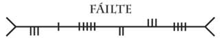 Failte - Welcome in Ogham. Image copyright Ireland Calling