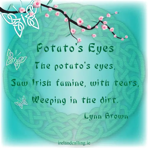 Potatos Eyes. Haiku by Lynn Brown
