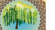 Celtic Trees Mythology