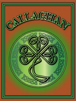 History of the Irish name O'Callaghan. Image copyright Ireland Calling