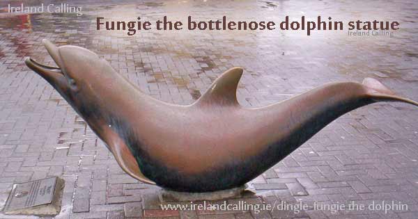 Fungie the bottlenose dolphin
