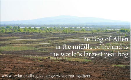 Bog of Allen with Croghan Hill in the background 