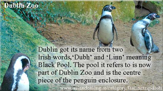 Where Dublin got its name