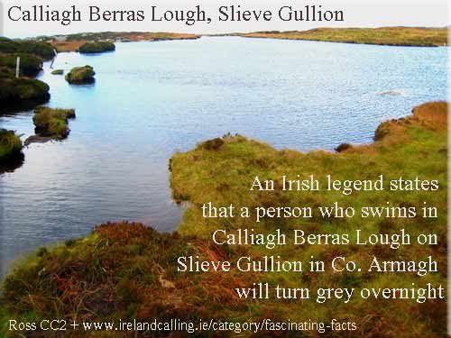 Irish legend turning grey overnight